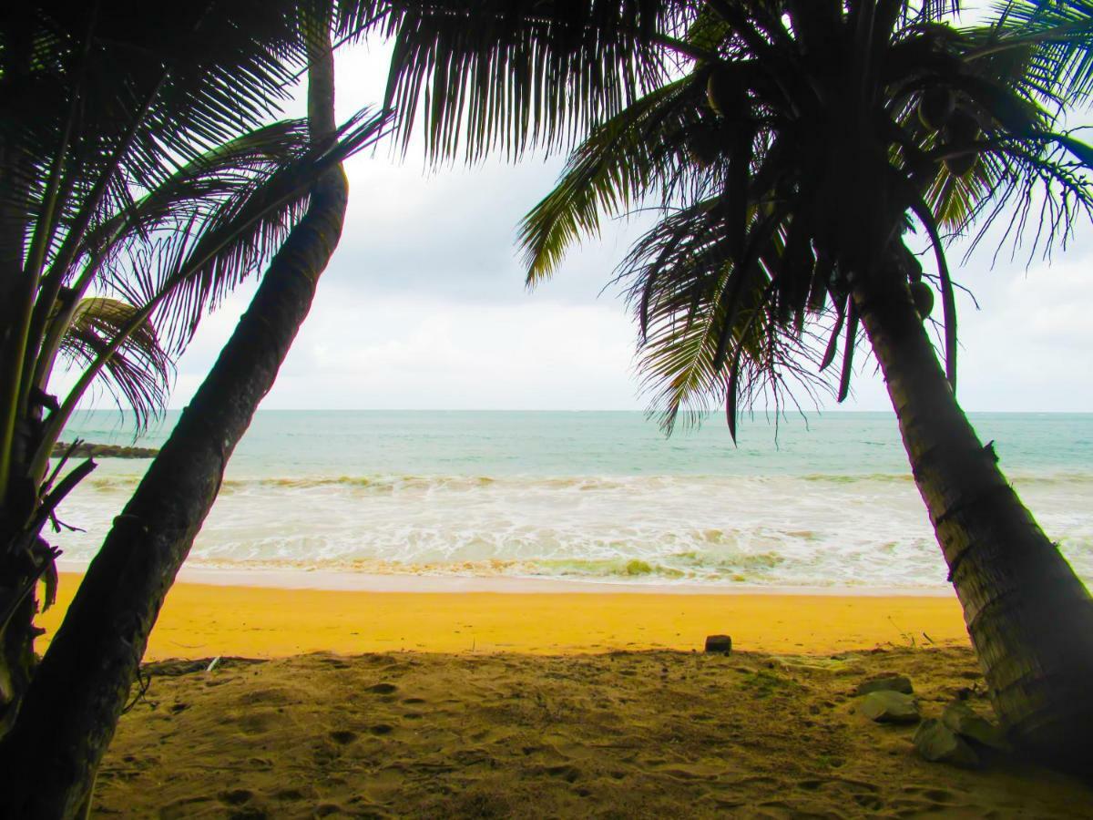Shanika Beach Inn Tangalle Eksteriør bilde